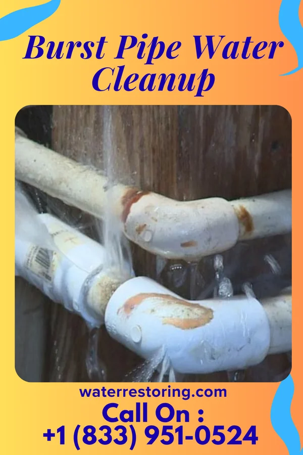 Burst Pipe Water Cleanup in Caswell Beach, NC